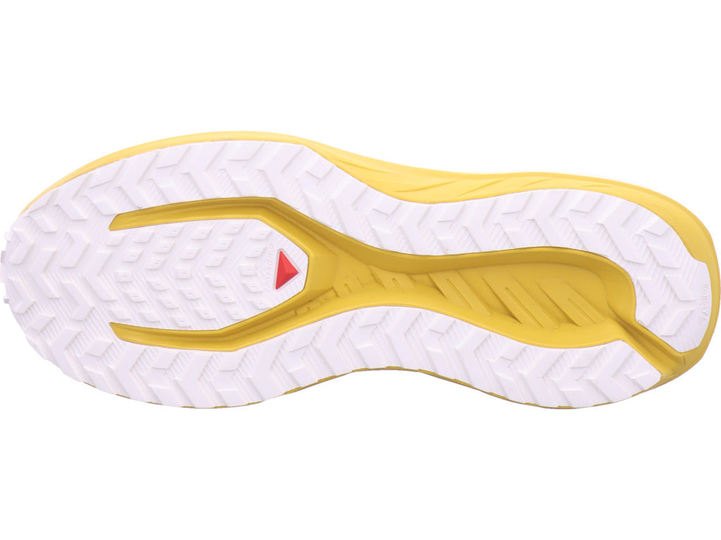 Salomon Herren Wanderschuh Drx Defy Grvl in braun