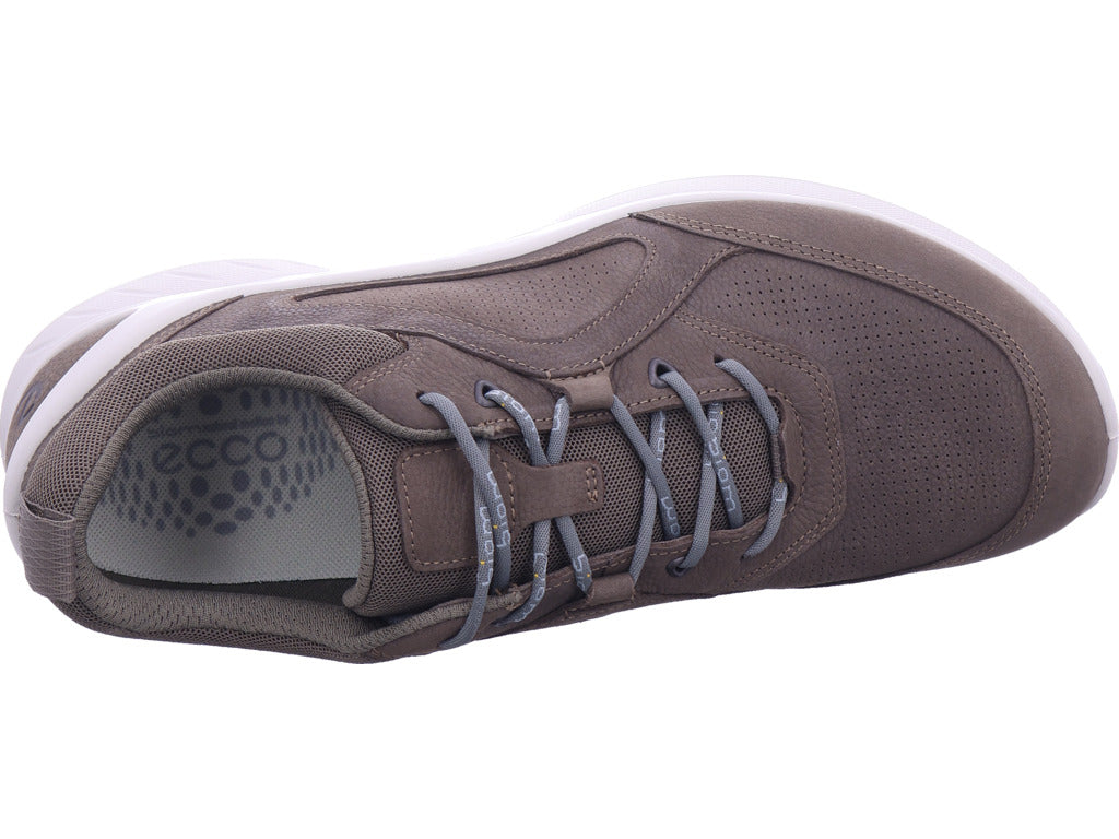 ecco Herren Sneaker  in braun