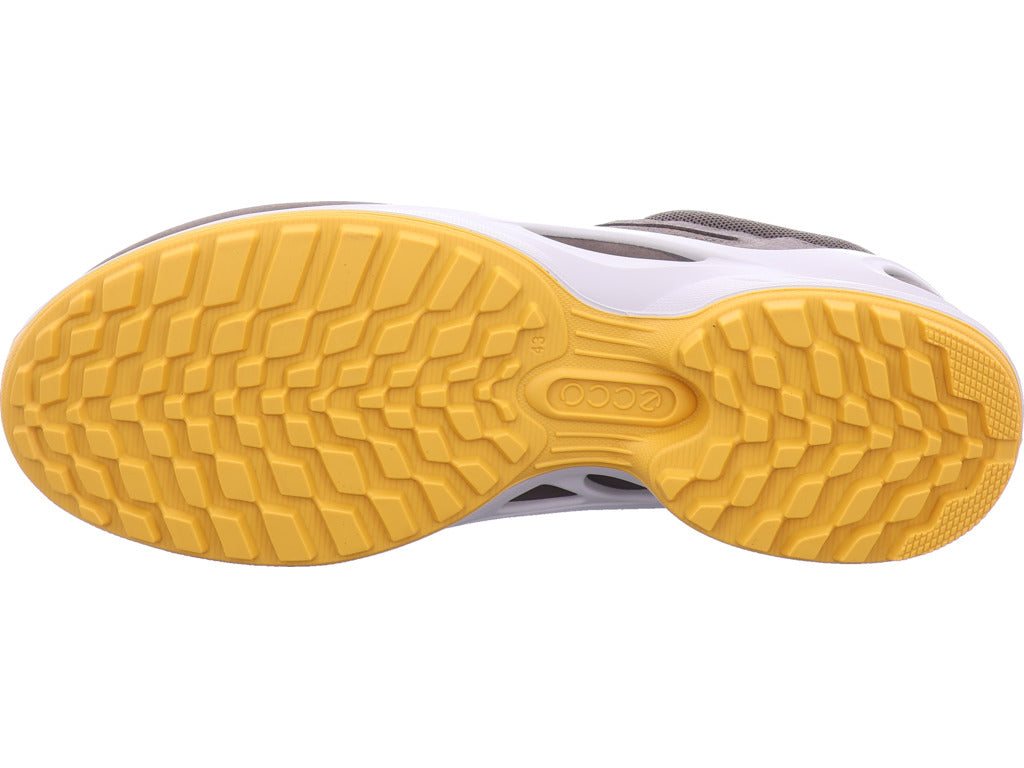 ecco Herren Sneaker  in braun