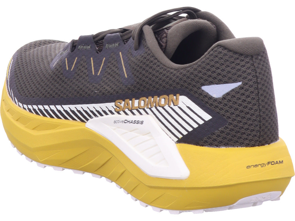 Salomon Herren Wanderschuh Drx Defy Grvl in braun