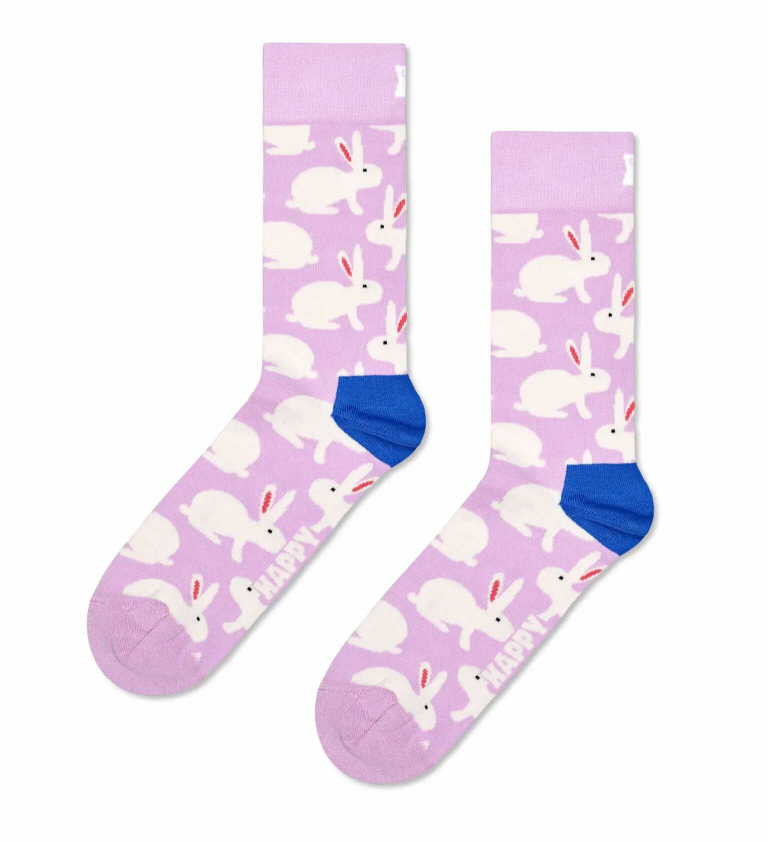HAPPY SOCKS  Socke  in lila