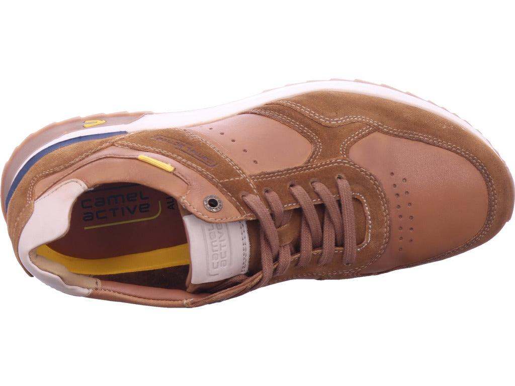 camel Herren Sneaker  in braun