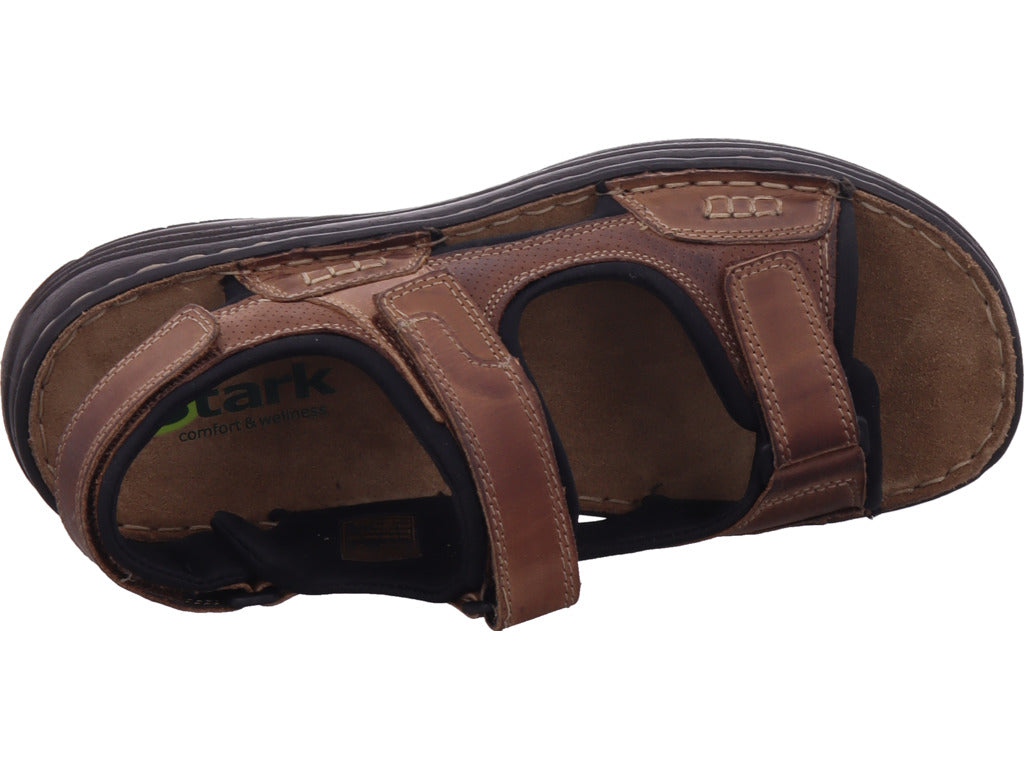 shoeconzep Herren   in braun