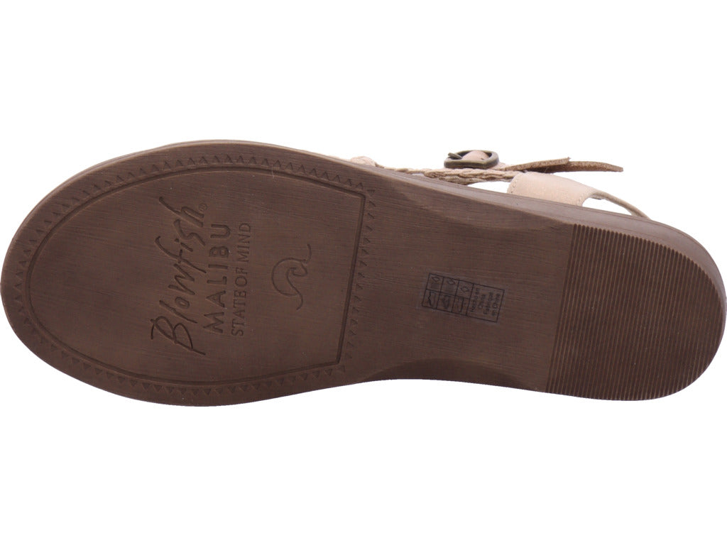 Blowfish Damen   in gold