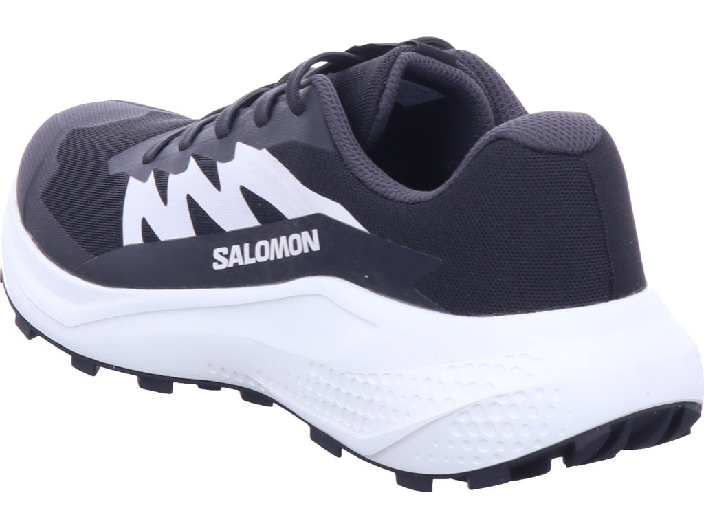 Salomon Damen Wanderschuh Alphaglide W in schwarz