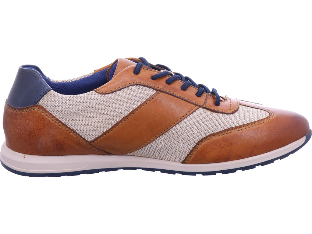 Bugatti Herren Sneaker  in braun