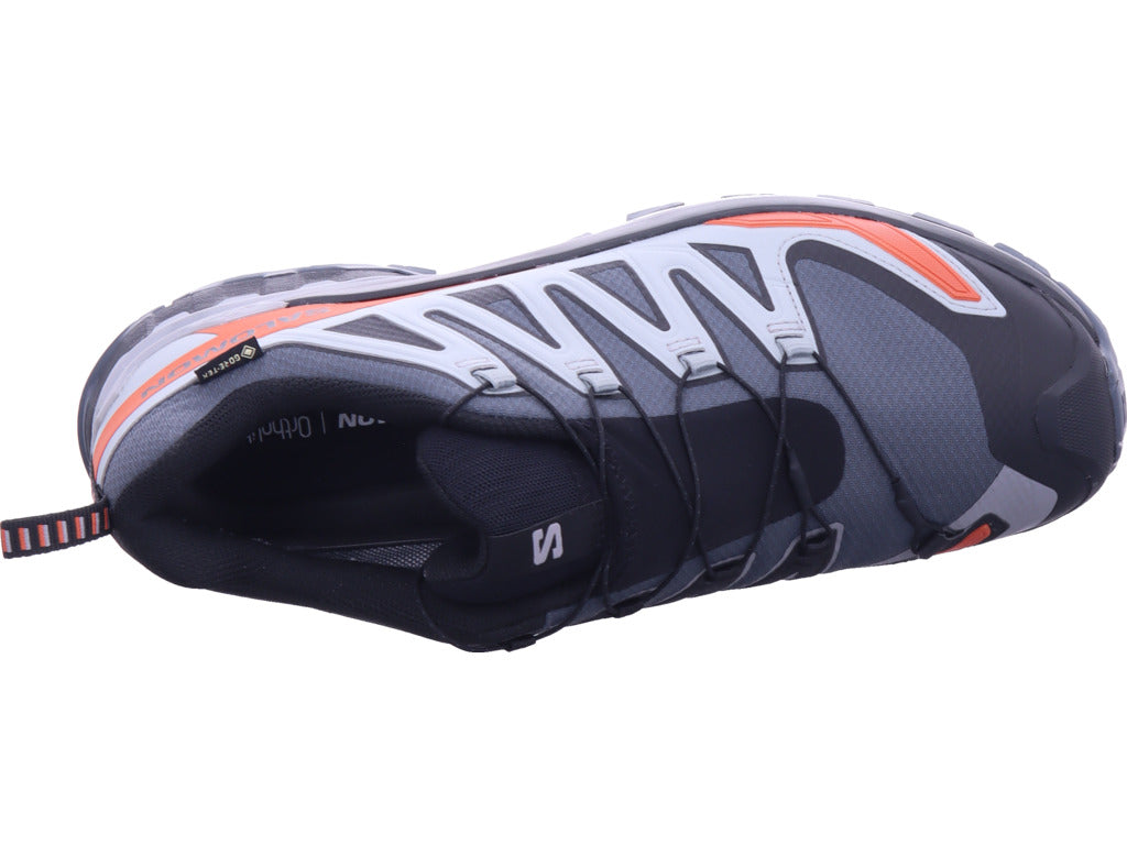 Salomon Herren Wanderschuh Xa Pro 3D in grau