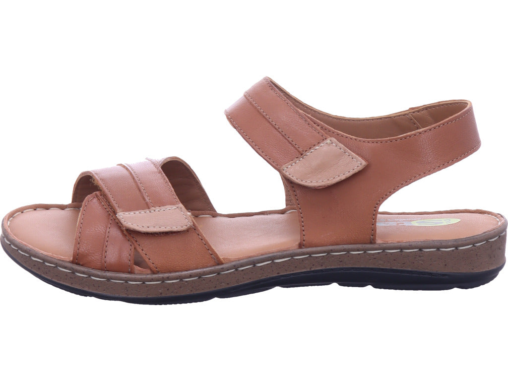 shoeconzep Herren   in braun