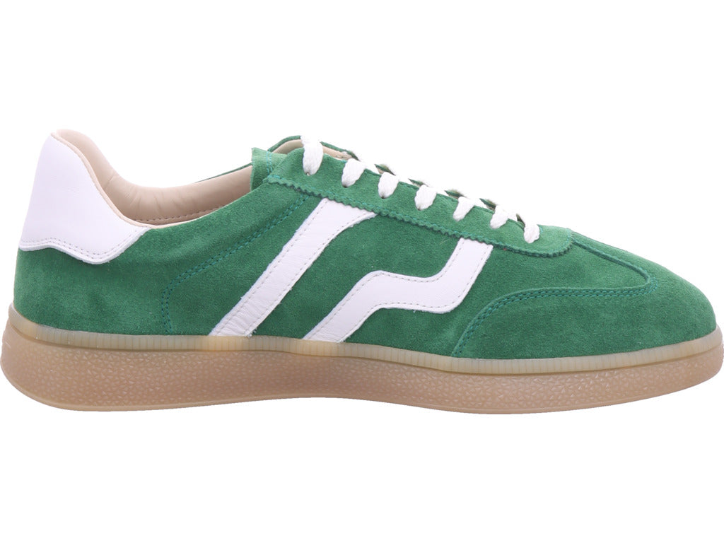 Gant Herren Sneaker Cuzmo in grün