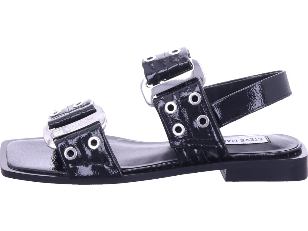 steve madden Damen   in schwarz