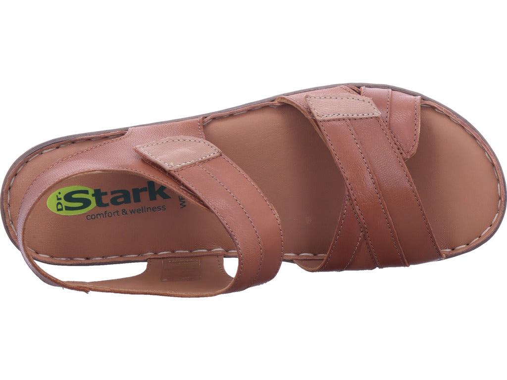 shoeconzep Herren   in braun