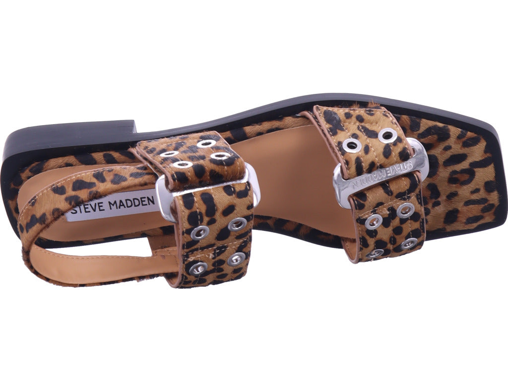 steve madden Damen   in braun