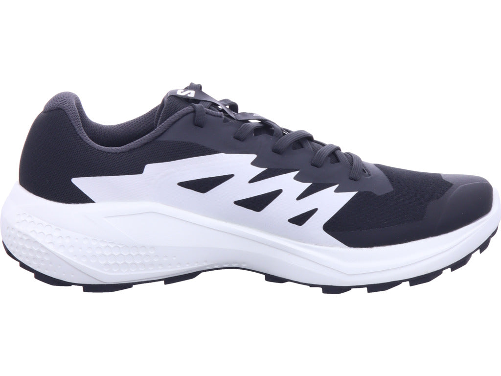 Salomon Herren Wanderschuh Alphaglide in schwarz