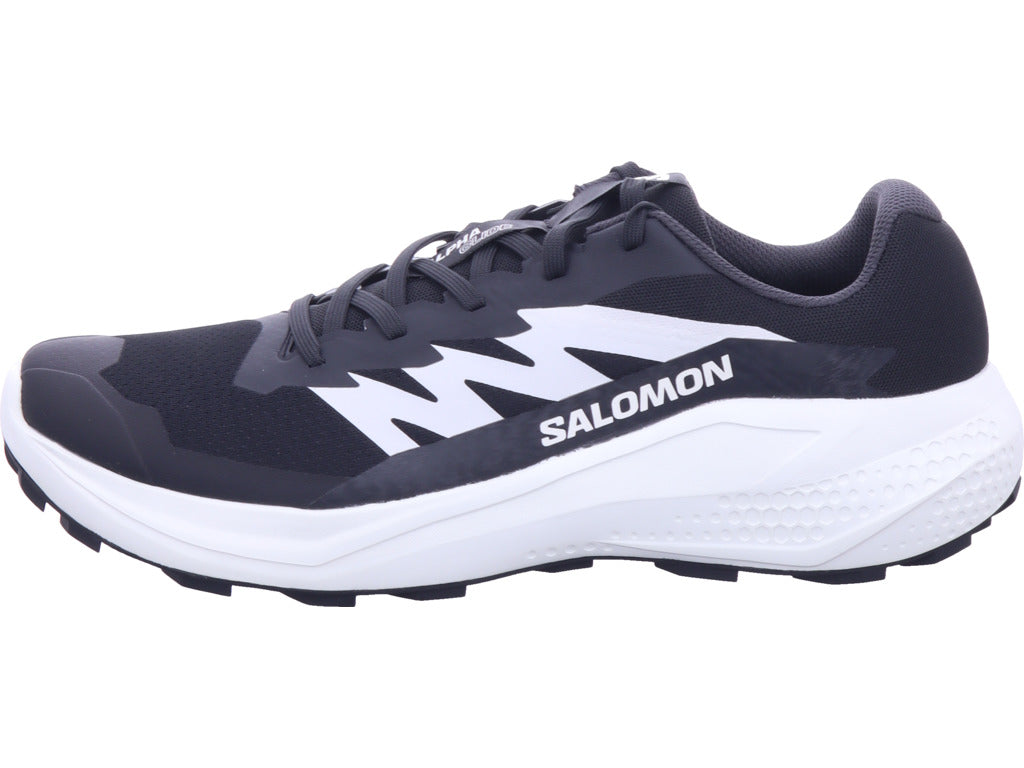 Salomon Herren Wanderschuh Alphaglide in schwarz