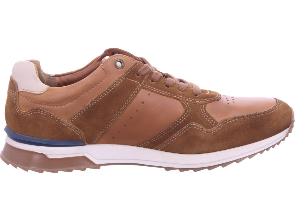 camel Herren Sneaker  in braun