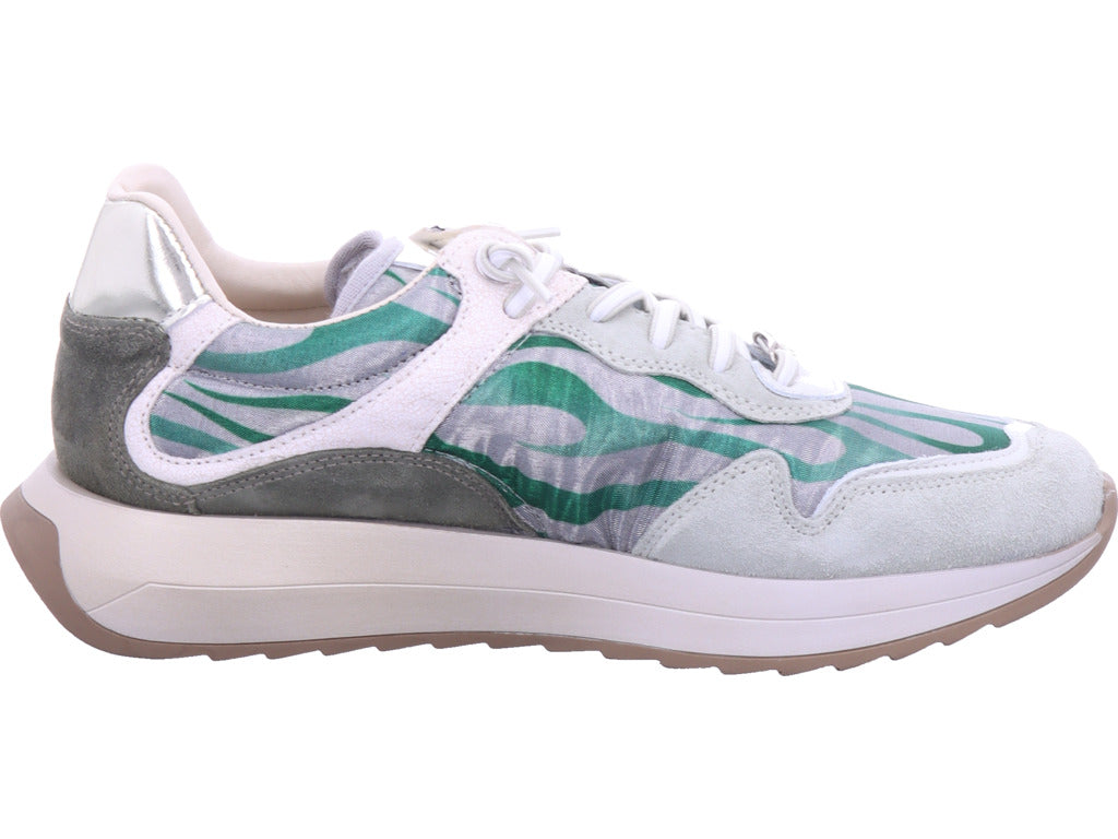 Cetti Damen Sneaker  in grün