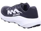 Salomon Herren Wanderschuh Alphaglide in schwarz