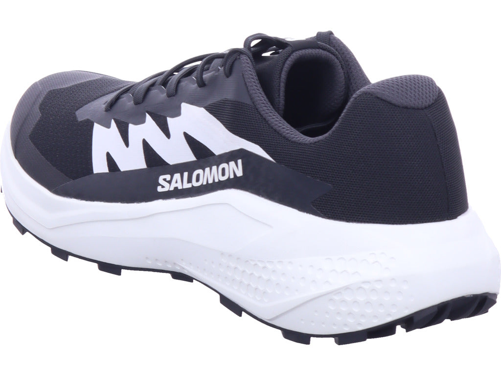 Salomon Herren Wanderschuh Alphaglide in schwarz