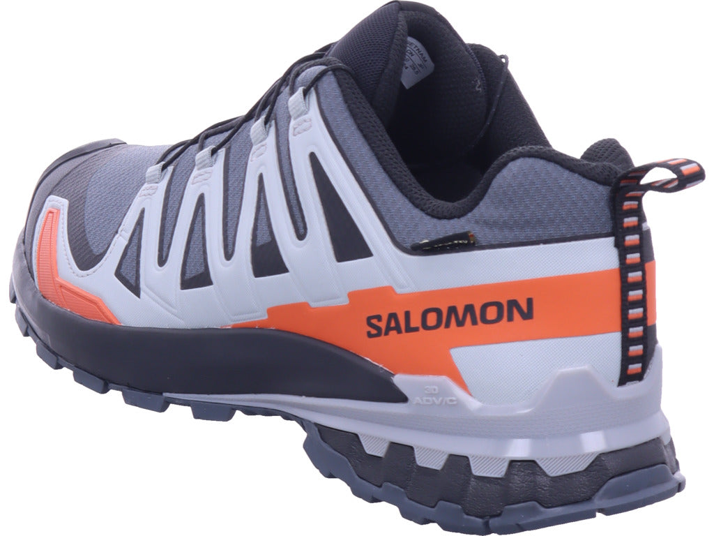 Salomon Herren Wanderschuh Xa Pro 3D in grau